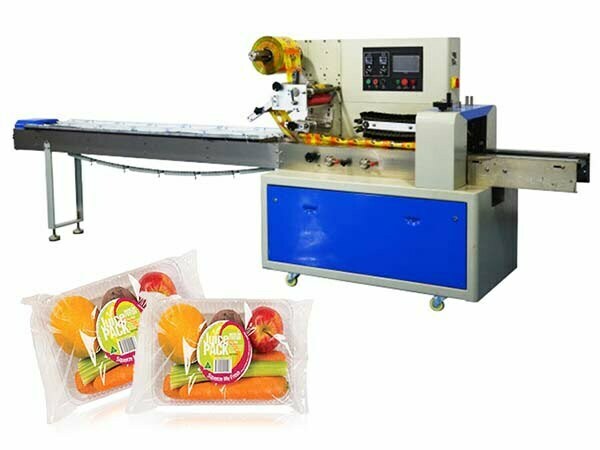 Th-450 pillow packing equipment