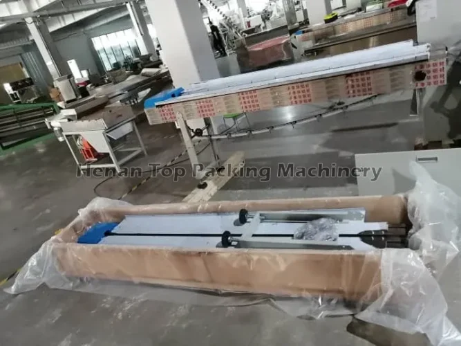 Package pillow packing machine