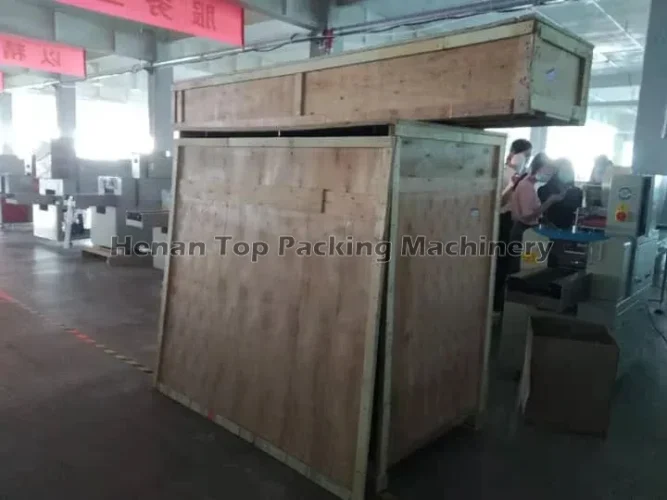 Pillow packing machine for spain