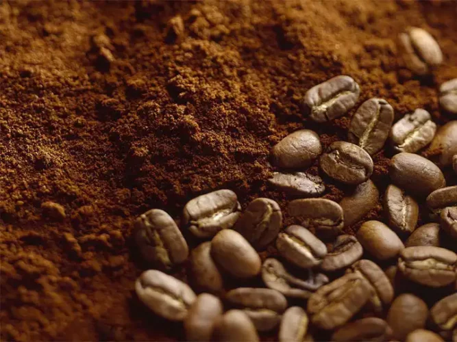 Café en poudre et grains