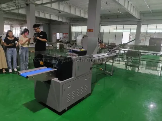 Pillow packing machine in the factory