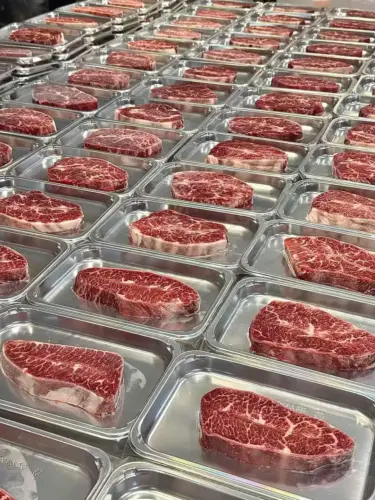 Vacuum skin packaging (vsp) machine for food