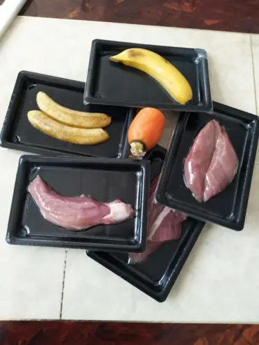 Vacuum skin packaging machine for foodstuffs